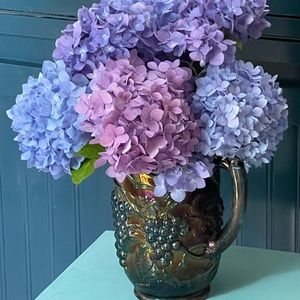 Meet your Posher, Beach